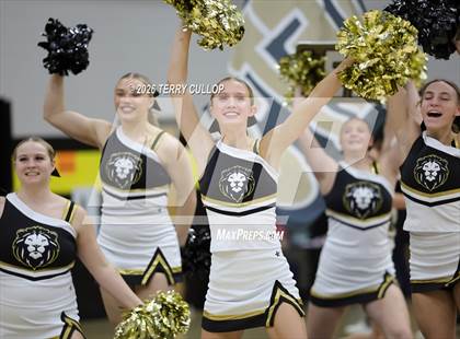 Thumbnail 1 in Roy Cheer photogallery.