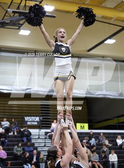 Thumbnail 3 in Roy Cheer photogallery.