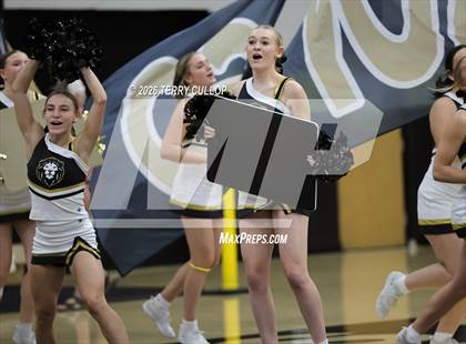 Thumbnail 3 in Roy Cheer photogallery.
