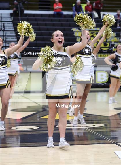 Thumbnail 2 in Roy Cheer photogallery.