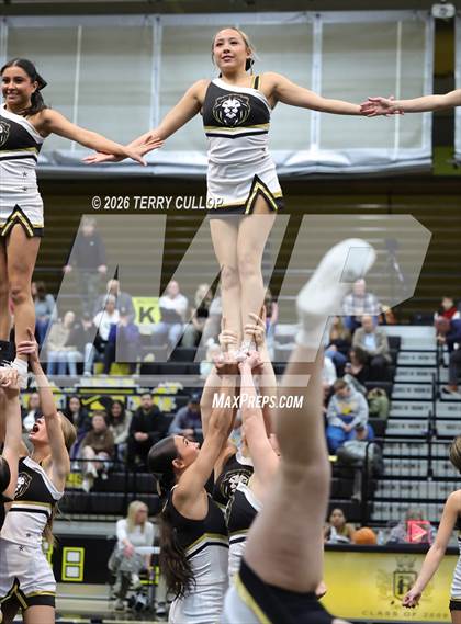 Thumbnail 1 in Roy Cheer photogallery.