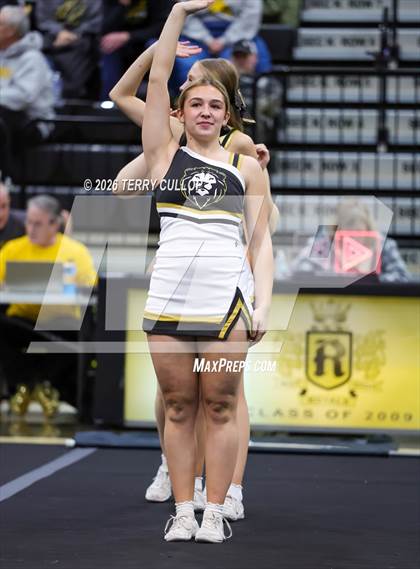 Thumbnail 3 in Roy Cheer photogallery.