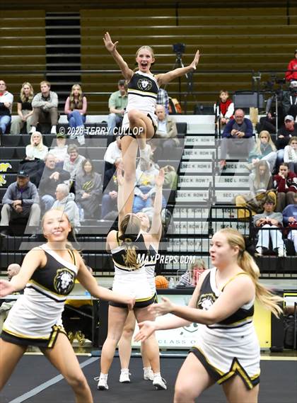 Thumbnail 2 in Roy Cheer photogallery.