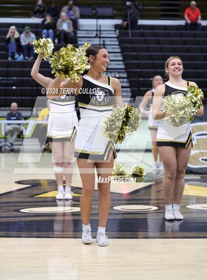 Thumbnail 2 in Roy Cheer photogallery.