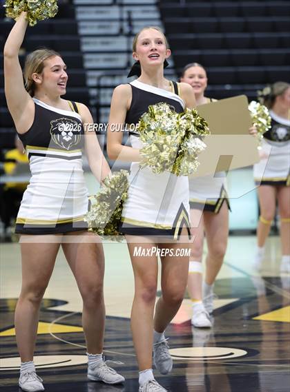 Thumbnail 2 in Roy Cheer photogallery.