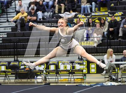 Thumbnail 2 in Roy Cheer photogallery.