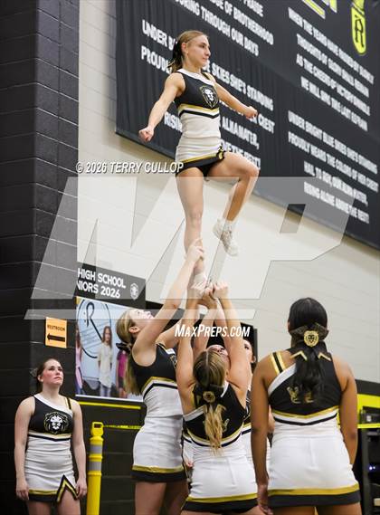 Thumbnail 2 in Roy Cheer photogallery.