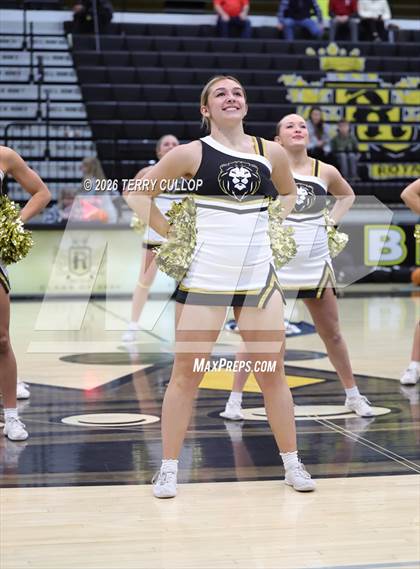 Thumbnail 3 in Roy Cheer photogallery.