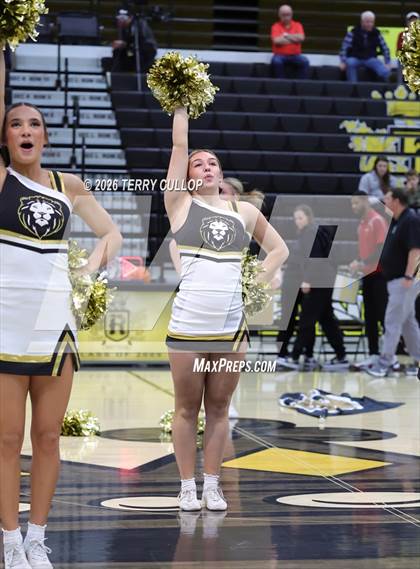 Thumbnail 3 in Roy Cheer photogallery.