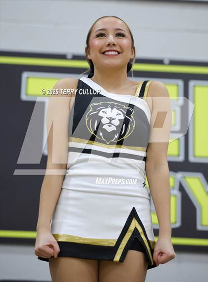 Thumbnail 1 in Roy Cheer photogallery.