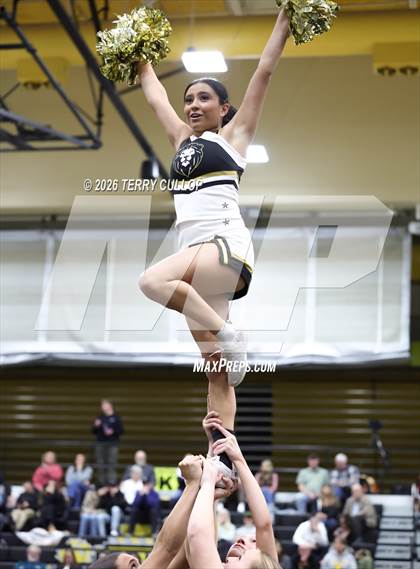 Thumbnail 2 in Roy Cheer photogallery.