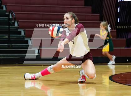 Thumbnail 3 in Boyd @ Whitesboro photogallery.