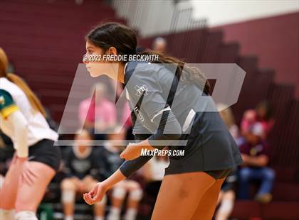 Thumbnail 3 in Boyd @ Whitesboro photogallery.