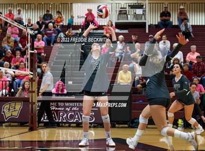 Thumbnail 2 in Boyd @ Whitesboro photogallery.