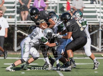 Thumbnail 1 in Paramus Catholic @ DePaul Catholic photogallery.