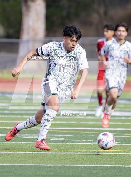 Thumbnail 1 in Savanna vs. Palmdale photogallery.