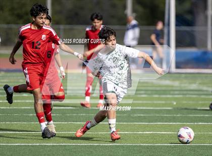 Thumbnail 1 in Savanna vs. Palmdale photogallery.