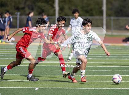 Thumbnail 3 in Savanna vs. Palmdale photogallery.