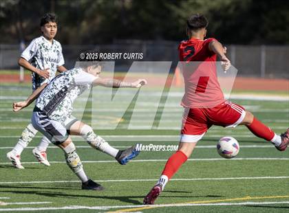 Thumbnail 2 in Savanna vs. Palmdale photogallery.