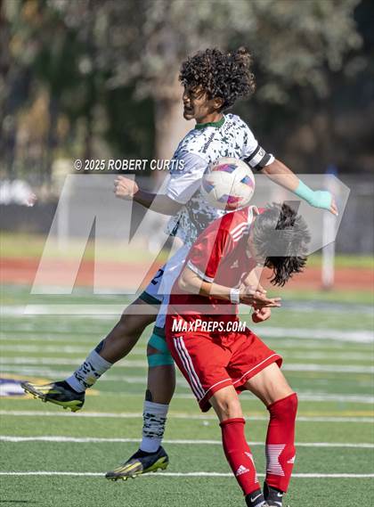 Thumbnail 1 in Savanna vs. Palmdale photogallery.
