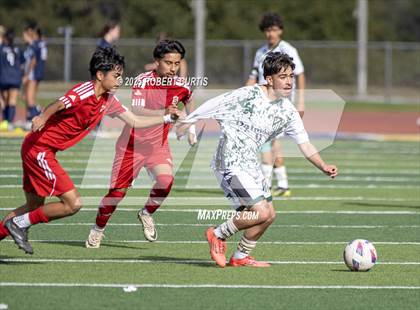 Thumbnail 2 in Savanna vs. Palmdale photogallery.