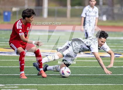 Thumbnail 2 in Savanna vs. Palmdale photogallery.