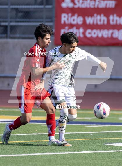 Thumbnail 3 in Savanna vs. Palmdale photogallery.