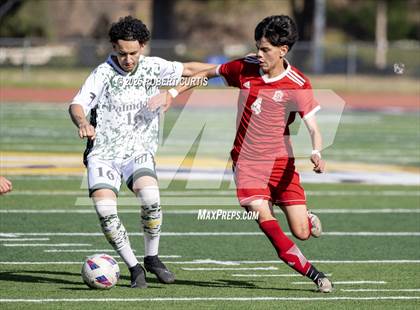 Thumbnail 1 in Savanna vs. Palmdale photogallery.