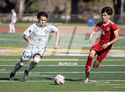 Thumbnail 3 in Savanna vs. Palmdale photogallery.