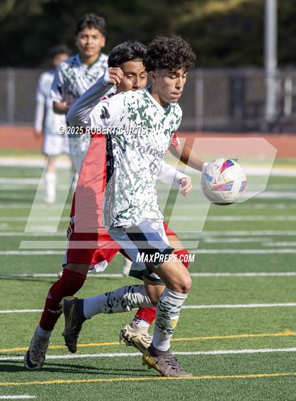 Thumbnail 3 in Savanna vs. Palmdale photogallery.