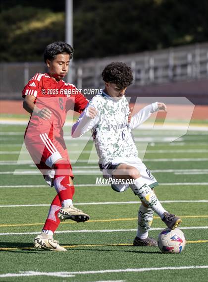 Thumbnail 1 in Savanna vs. Palmdale photogallery.