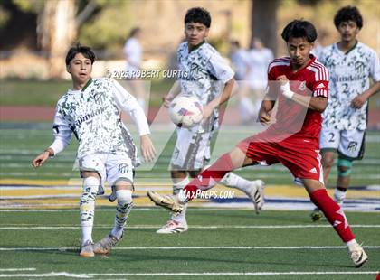 Thumbnail 2 in Savanna vs. Palmdale photogallery.