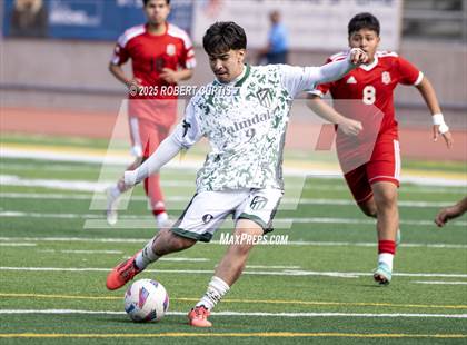Thumbnail 1 in Savanna vs. Palmdale photogallery.