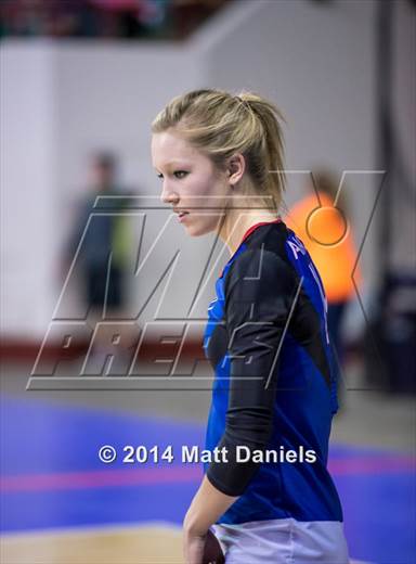 null - Photo 11