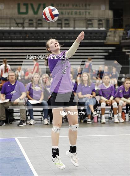 Thumbnail 3 in Desert Hills vs. Green Canyon (UHSAA 4A Quarterfinal Playoff) photogallery.