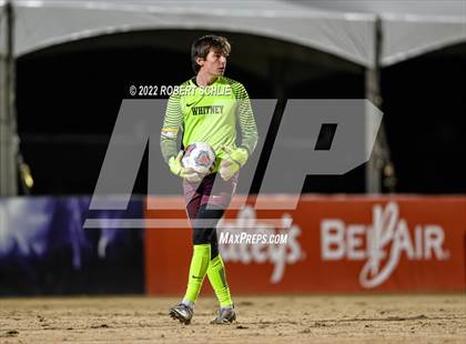 Thumbnail 1 in Modesto vs Whitney (CIF SJS Championship) photogallery.