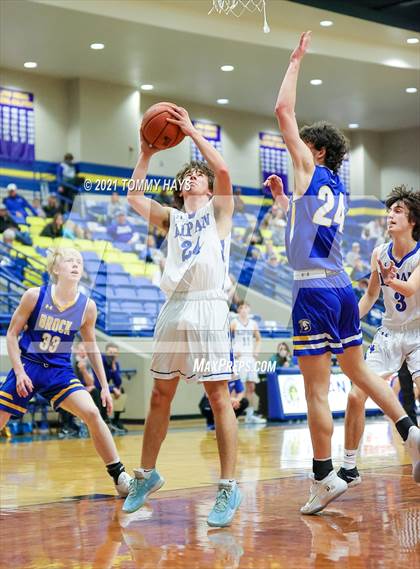 Thumbnail 3 in Brock @ Lipan photogallery.
