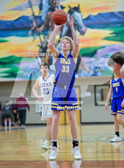 Thumbnail 1 in Brock @ Lipan photogallery.