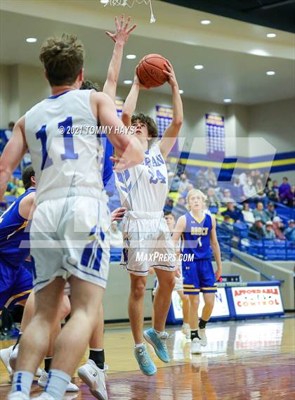 Thumbnail 3 in Brock @ Lipan photogallery.