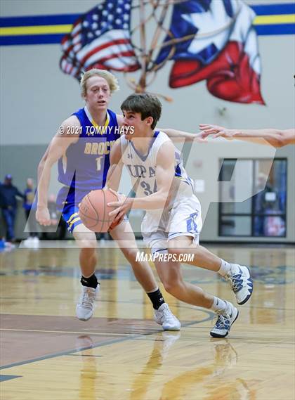 Thumbnail 1 in Brock @ Lipan photogallery.