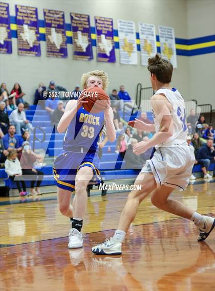 Thumbnail 1 in Brock @ Lipan photogallery.