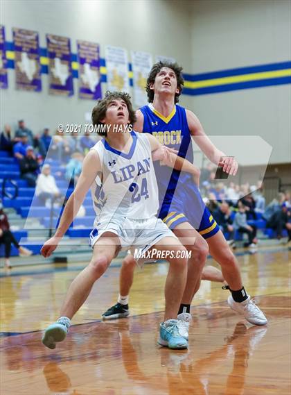Thumbnail 1 in Brock @ Lipan photogallery.