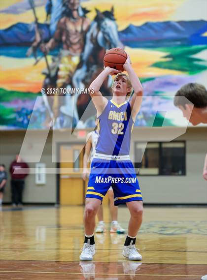 Thumbnail 1 in Brock @ Lipan photogallery.