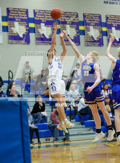 Thumbnail 1 in Brock @ Lipan photogallery.