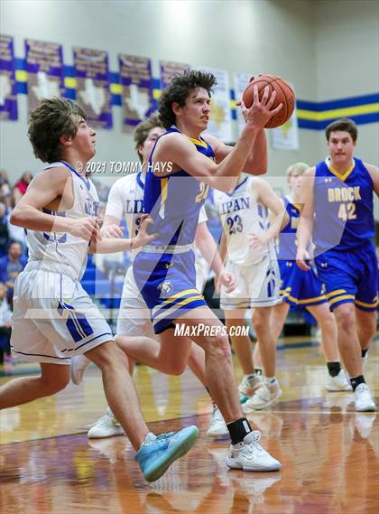 Thumbnail 1 in Brock @ Lipan photogallery.