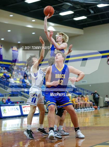 Thumbnail 1 in Brock @ Lipan photogallery.