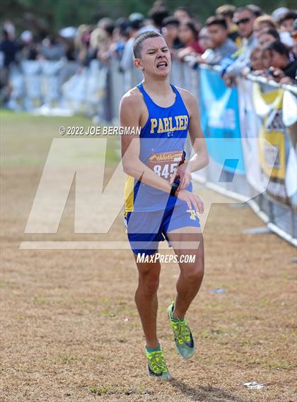 Thumbnail 2 in CIF Central Section Cross Country Championships (Boys D4 Race) photogallery.