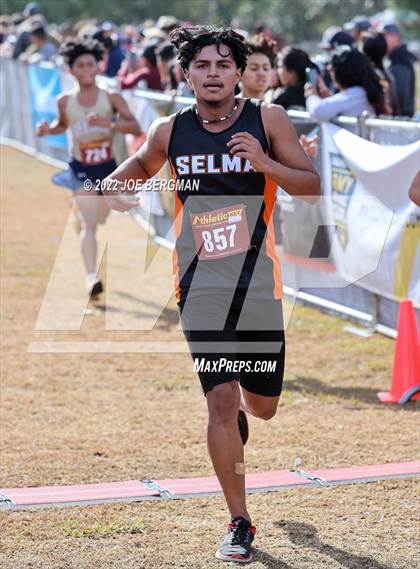 Thumbnail 3 in CIF Central Section Cross Country Championships (Boys D4 Race) photogallery.