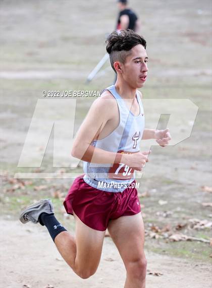 Thumbnail 1 in CIF Central Section Cross Country Championships (Boys D4 Race) photogallery.