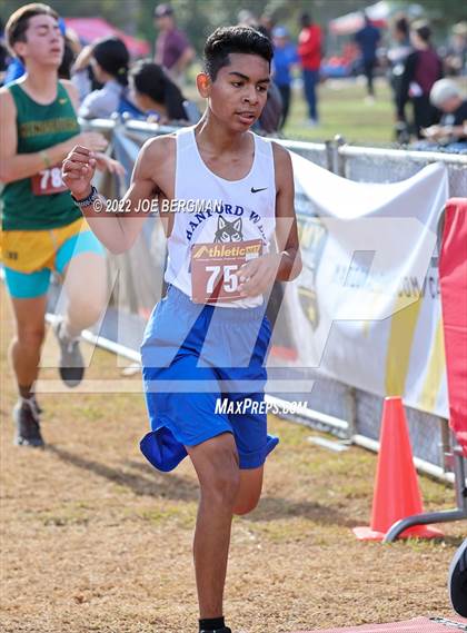 Thumbnail 3 in CIF Central Section Cross Country Championships (Boys D4 Race) photogallery.